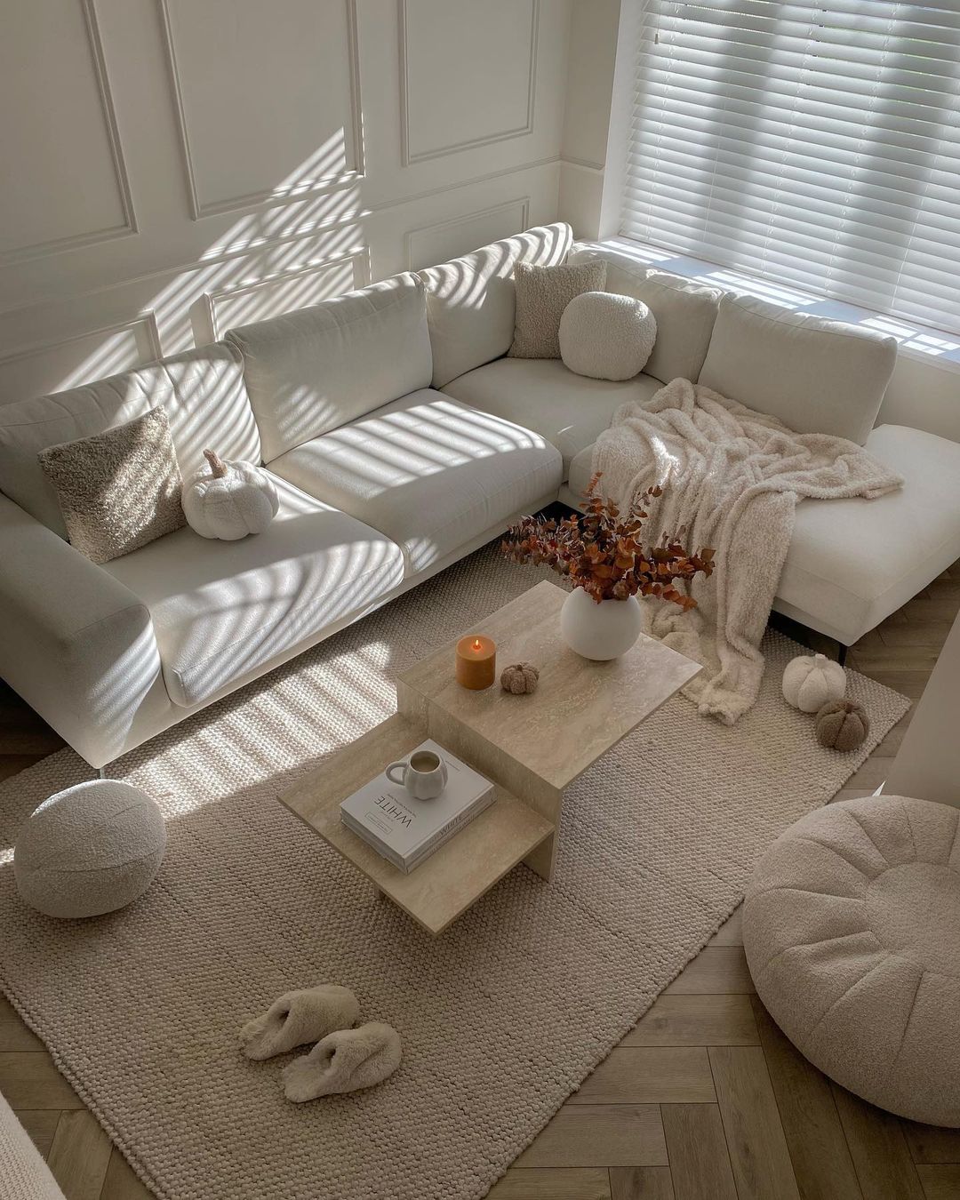tapis naturel dans les idées de salon
