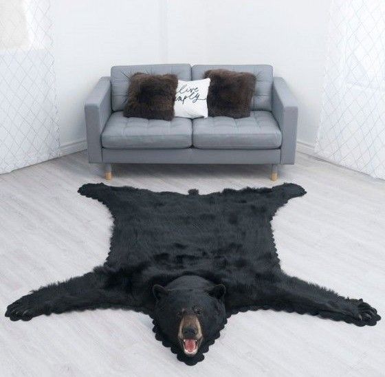Bear skin rugs