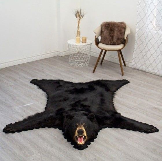 Bear skin rugs