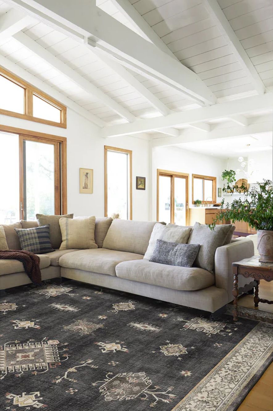 Tapis noirs dans le salon