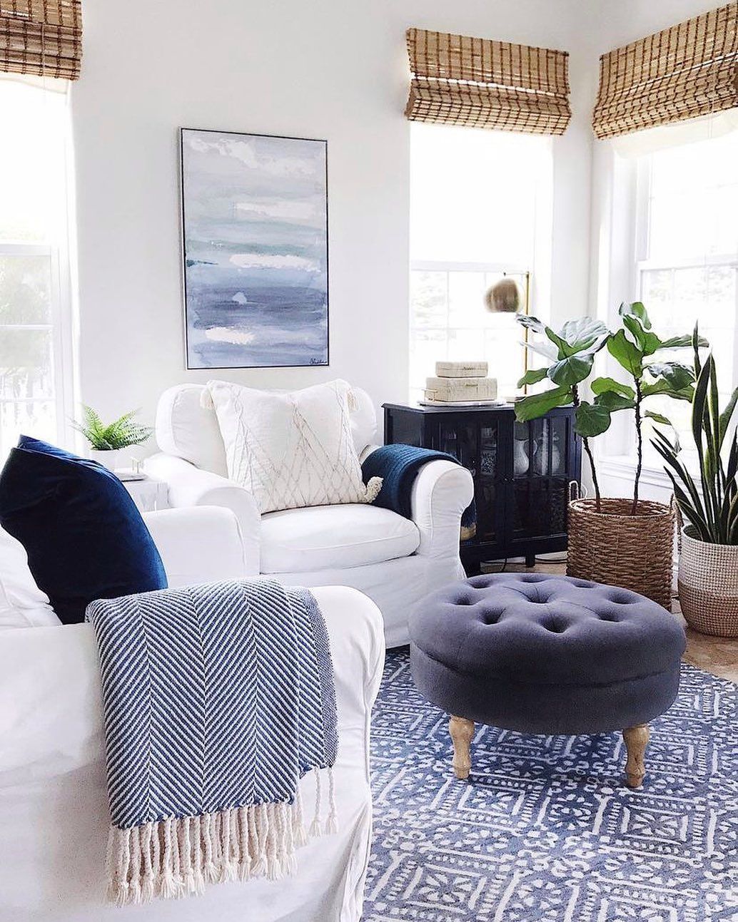 Tapis bleu dans Idées de salon