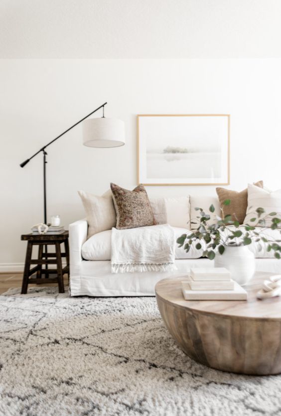 Fluffy living room rugs
