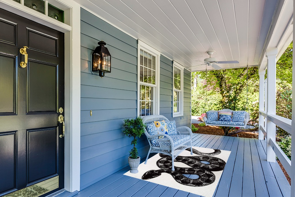 nuLOOM Thomas Paul Serpent Area Rug, 4x6, Black and White in Light Blue Patio