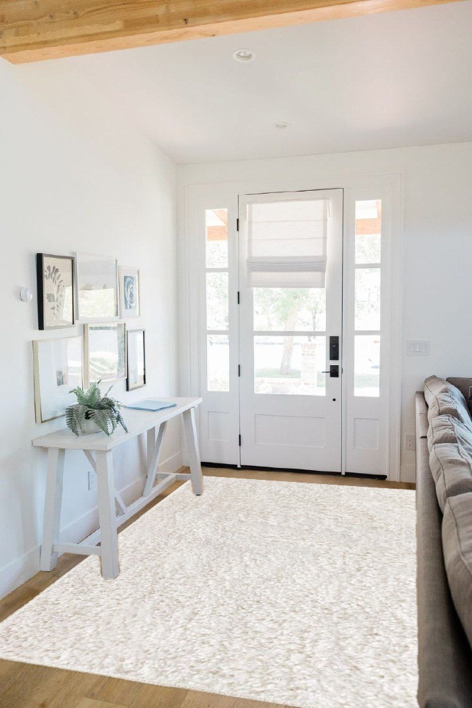 BELLEZE Area Rug Modern Solid Colored Indoor Outdoor Rug, Accent Rug for Patio, Living Room or Kitchen, Luxury Bohemian Style Home Decor, 5' x 8' - Ivory White in White Scandinavian Entryway