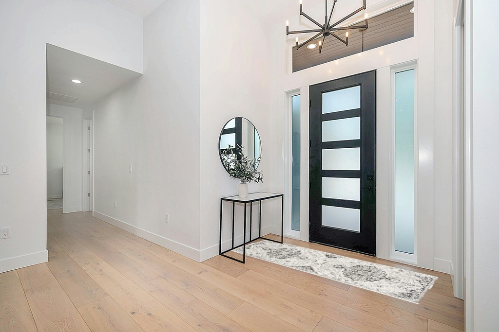Odelia Vintage Bohemian Area Rug in Modern White Entryway