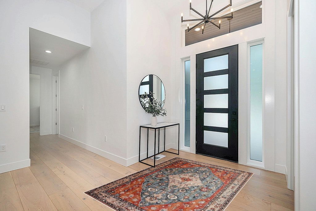 Lahome Boho Tribal Area Rug in Modern White Entryway