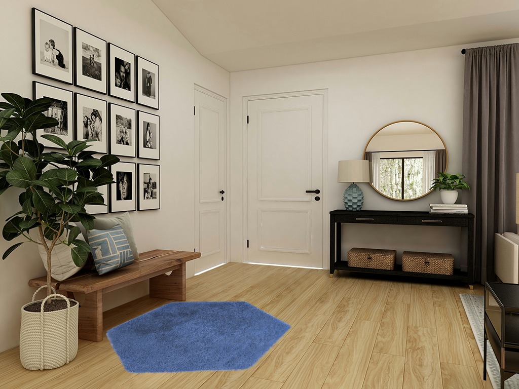 Ultra Soft Rug 4.6 ft in Transitional Minimalistic Entryway