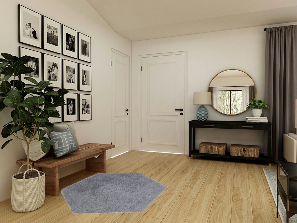 Ultra Soft Rug for Home Décor in Transitional Minimalistic Entryway