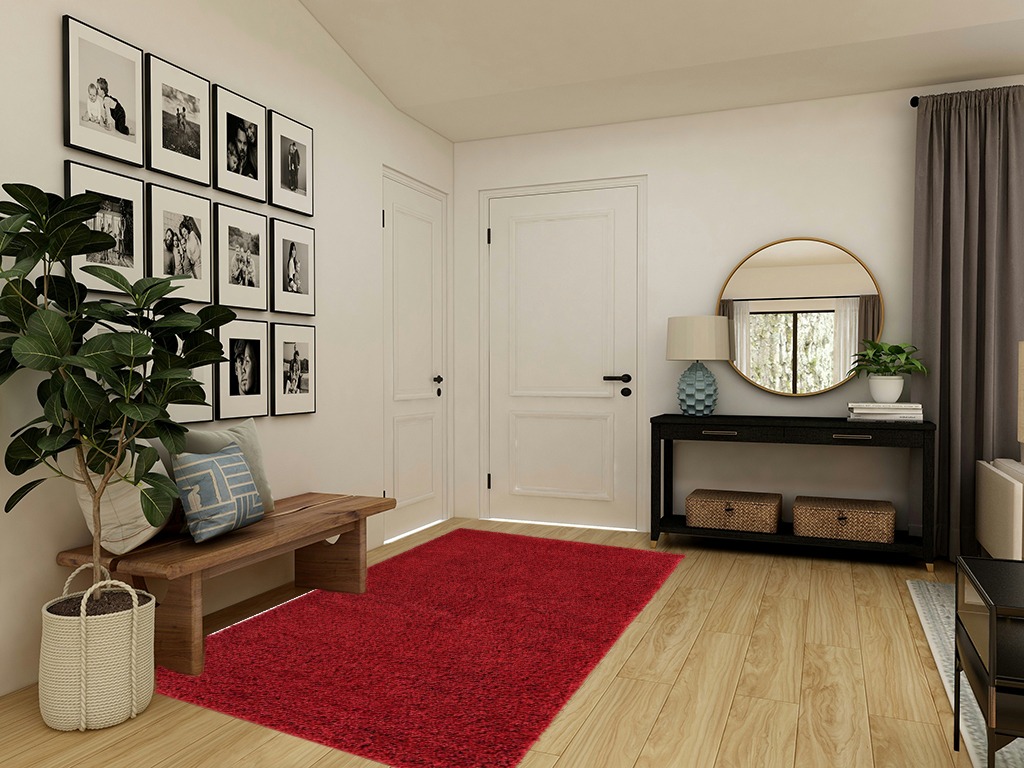 Everyday Shag Rug 5' x 8' in Transitional Minimalistic Entryway