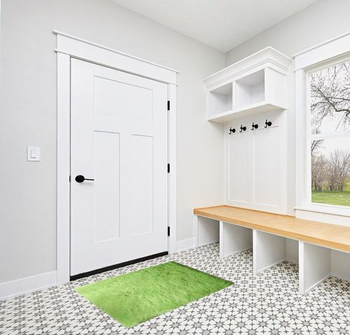 Scceatti Rugs for Living Room 4x2.5 Feet Washable Shaggy Soft Classroom Rug Rugs Large Aesthetic Bedside Rug Rugs for Bedroom Fluffy Shaggy Bedside Floor Dorm Area Rug Non Slip Room Carpet,Green in White Modern Entryway