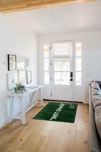 Keep Off Wet Grass Area Rugs Green Modern Large Carpet Neutral Non-Slip Floor Mat Easy Cleaning Rugs for Bedroom Livingroom Playroom Home Decor Mat 60X40inch in White Scandinavian Entryway