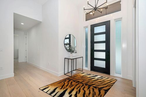 Naanle Tiger Print Area Rug 5'x7' Animal Print Polyester Area Rug Mat for Living Dining Dorm Room Bedroom Home Decorative in Modern White Entryway
