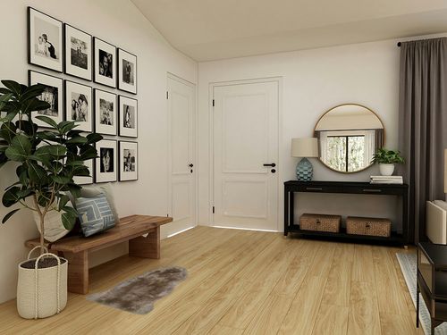 OKAYDA Genuine New Zealand Sheepskin Area Rug Soft Lambskin Decorative Rug for Bedroom Sofa Floor One Pelt in Transitional Minimalistic Entryway