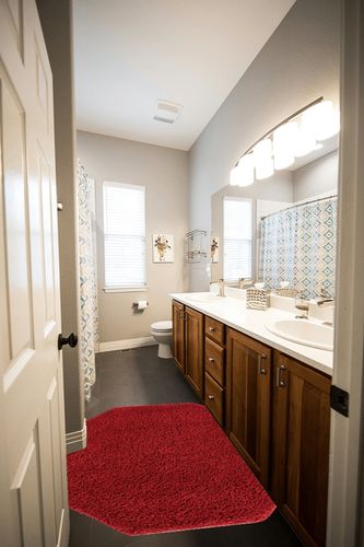 Everyday Shag Rug 4 Ft Octagon in Wooden and Grey Bathroom
