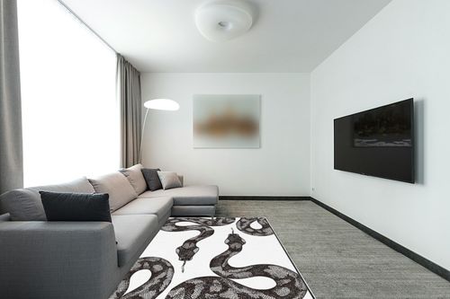 Leenevs Snake Animal Room Decor Rug 5 ' x 7 ' Area Rugs Contemporary Bedroom Living Room Farmhouse Area Rug - Non Shedding in Modern Living Room with Grey Couch
