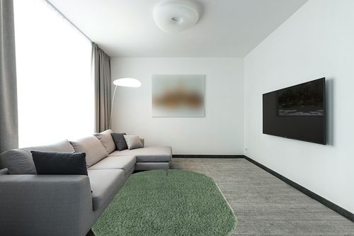 5x8 Oval Green fluffy rug in Modern Living Room with Grey Couch