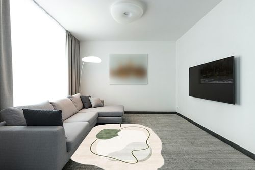 Boho Chic Geometric Area Rug for Living Room Dining Room Bright Green Spring Bedroom Floorcover Contemporay Abstract Curved Kitchen Runner Rugs Premium Medium Pile Play Home Decor Hallway 5x7ft in Modern Living Room with Grey Couch