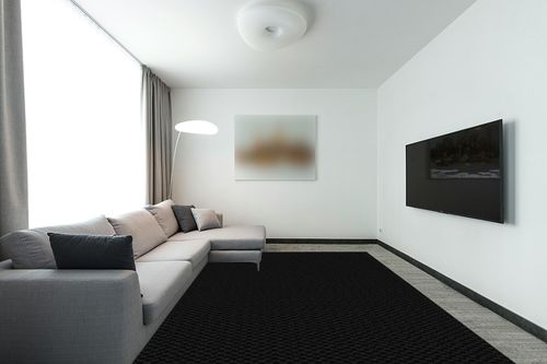 ‎Earth Tone ‎Classic  ‎Living Room ‎Area Rug in Modern Living Room with Grey Couch