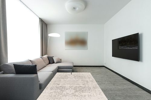 Grey Traditional Living Room Area Rug in Modern Living Room with Grey Couch