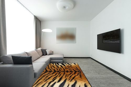 Naanle Tiger Print Area Rug 5'x7' Animal Print Polyester Area Rug Mat for Living Dining Dorm Room Bedroom Home Decorative in Modern Living Room with Grey Couch