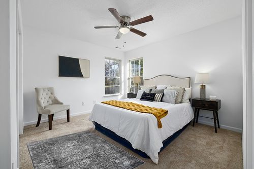 nuLOOM Transitional Persian Delores Area Rug, 4x6, Dark Grey in White and Yellow Modern Bedroom