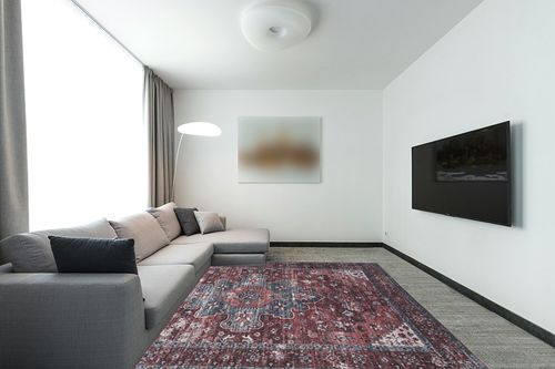 Adiva Rugs Machine Washable Area Rug Terra in Modern Living Room with Grey Couch