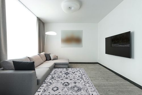 Safavieh Odyssey Collection Area Rug - 5'3" x 7'6", Grey & Black, Vintage Oriental Design, Non-Shedding & Easy Care, Ideal for High Traffic Areas in Living Room, Bedroom (ODY850F) in Modern Living Room with Grey Couch
