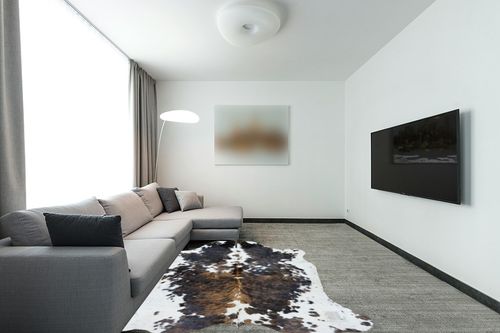 bonanza leathers Genuine Cowhide Rug Western Home Decor Rug Cowhide Large Cow Skin Rug for Wall Decor/Living Room/Bedroom Rug in Modern Living Room with Grey Couch