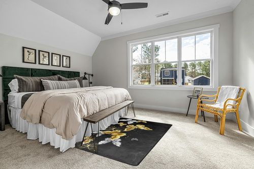 Gold White Butterflies Black Area Rugs Bedroom Living Room Rug Fluffy Soft Machine Washable Large Area Easy to Clean for Living Room Bedroom Room Boy Girl Room Nursery,5ft x 7ft in Grey Traditional Bedroom with King Bed