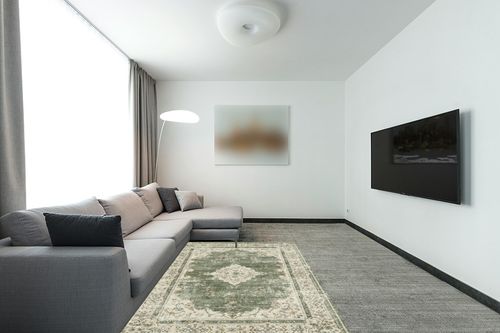 Valenrug Washable Rug 5x7 - Ultra Thin Green Collection Area Rug, Stain Resistant Non-Skid Rugs for Living Room, Antique Bedroom Rugs(5'x7', TPR40-Green) in Modern Living Room with Grey Couch
