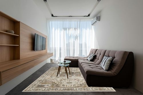 Roxstand 8x10 Area Rugs for Living Room, Vintage Washable Rug with Non-Slip Backing, Stain Resistant Large Area Rug for Dining Room, Soft Rugs for Bedroom (Beige/Brown, 8'x10') in Grey Living Room with Brown Couch