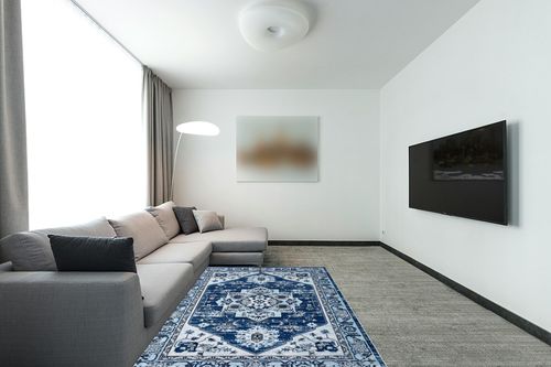 Zacoo Boho Area Rug 5x7 Washable Rug Vintage Soft Navy Blue Medallion Distressed Print Carpet Oriental Non Slip Non-Shedding Low-Pile Throw Thin Bedroom Rugs for Living Room Dining Room in Modern Living Room with Grey Couch