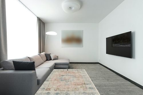 5'x7' | Washable Floral Area Rug | Kitchen & Living Room Rugs | Floral Rug ... in Modern Living Room with Grey Couch