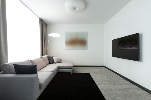 Furnish my Place Modern Indoor/Outdoor Commercial Solid Color Rug - Black, 5' x 7', Pet and Kids Friendly Rug. Made in USA, Rectangle, Area Rugs Great for Kids, Pets, Event, Wedding in Modern Living Room with Grey Couch