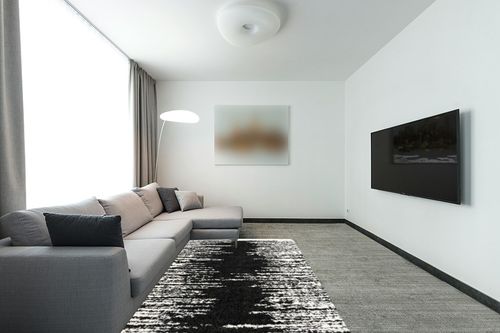 Knupp Abstract Black/White Area Rug Trent Austin Design Rug Size: Rectangle 5'3" x 8' in Modern Living Room with Grey Couch