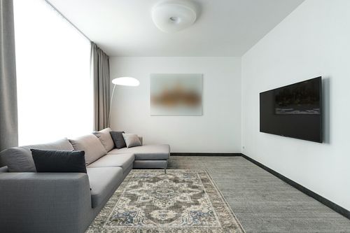 Area Rugs for Living Room Bedroom: 5x7 Washable Rug with Non-Slip Backing Non-Shedding Stain Resistant, Boho Floral Large Carpet for Dining Room Nursery Home Office Indoor Brown/Green in Modern Living Room with Grey Couch