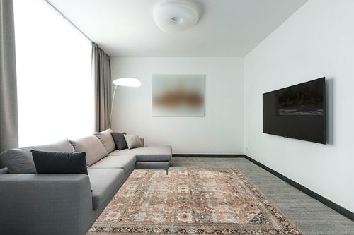 ‎Auburn / Multi ‎Traditional   ‎Area Rug in Modern Living Room with Grey Couch
