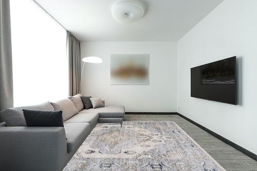 SAFAVIEH Oregon Collection Area Rug - 8' x 10', Beige & Grey, Oriental Distressed Design, Non-Shedding & Easy Care, Ideal for High Traffic Areas in Living Room, Bedroom (ORE898B) in Modern Living Room with Grey Couch