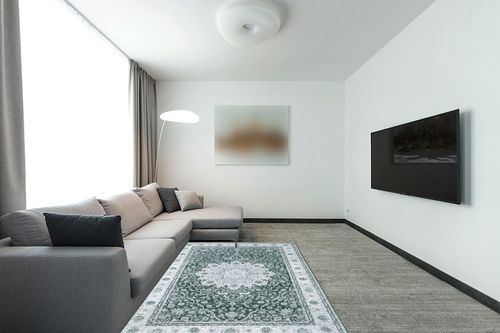 Zacoo Washable Rug 5x7 Area Rugs Boho Rug Vintage Area Rugs for Living Room Bedroom Dining Room Distressed Non Slip Rugs Carpet Non Shedding Oriental Rug, Green/White in Modern Living Room with Grey Couch