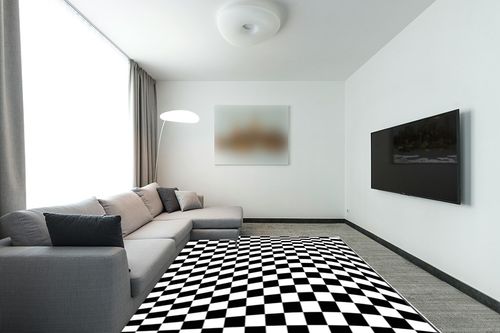 Leenevs Black White Checkered Rug Runner Rug 8 ' x 10' Area Rugs Soft Modern Indoor Shaggy Area Rug for Bedroom Livingroom Dorm Kids Room Home Decorative, Non-Slip Plush Fluffy Furry Fur Rugs in Modern Living Room with Grey Couch