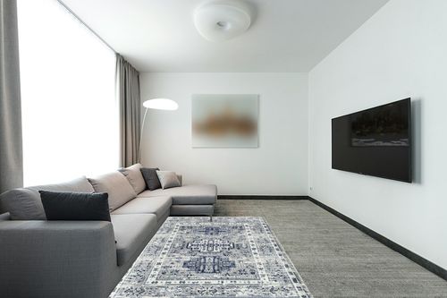 Rugs America Gallagher Collection GL55F Inky Sundara Transitional Vintage Area Rug 5'3" x 7' in Modern Living Room with Grey Couch