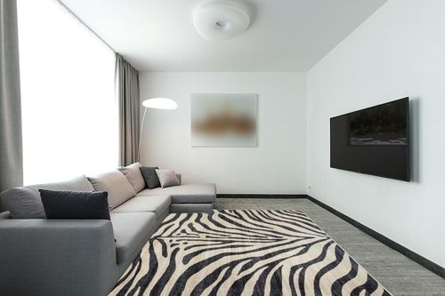 Gertmenian Boho Area Rug, 8x10 Large, Home Decor for Entryway, Bedroom, Living Room, Office, Kitchen, Non Slip, Soft, Low-Pile, Printed Indoor Accent Rugs, Animal, Zebra Black White, 28536 in Modern Living Room with Grey Couch