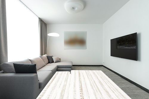 Area Rug Living Room Rugs: 8x10 Large Soft Machine Washable Boho Moroccan Farmhouse Neutral Stain Resistant Indoor Floor Rug Carpet for Bedroom Under Dining Table Home Office House Decor - Brown in Modern Living Room with Grey Couch