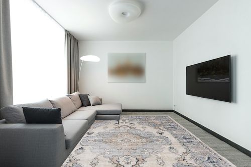 SAFAVIEH Oregon Collection Area Rug - 9' x 12', Beige & Grey, Oriental Distressed Design, Non-Shedding & Easy Care, Ideal for High Traffic Areas in Living Room, Bedroom (ORE898B) in Modern Living Room with Grey Couch