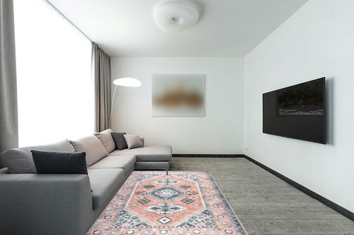 Rofee Living Washable Boho Area Rug 5x7 for Living Room Vintage Distressed Orange and Grey Stain Resistant Accent Floor Rug for Bedroom in Modern Living Room with Grey Couch