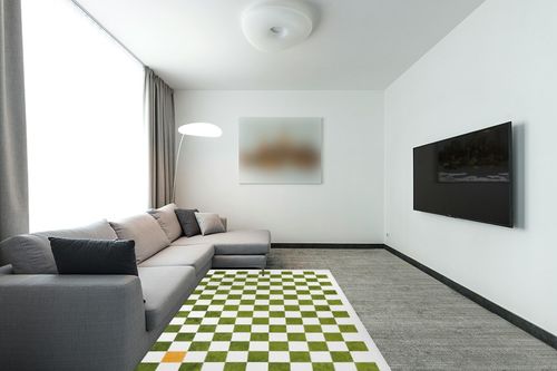 Wonnitar Checkered 5x7 Area Rug,Washable Green Rugs for Living Room,Large Modern Checkerboard Bedroom Rug,Non-Slip Soft Low Pile Stain Resistant Dining Carpet for Nursery Apartment Dorm in Modern Living Room with Grey Couch