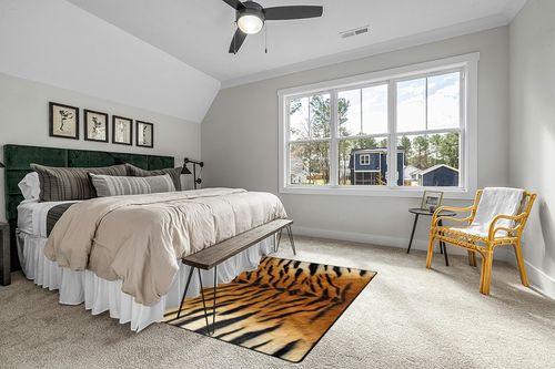 Naanle Tiger Print Area Rug 5'x7' Animal Print Polyester Area Rug Mat for Living Dining Dorm Room Bedroom Home Decorative in Grey Traditional Bedroom with King Bed