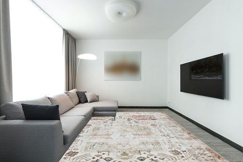 RUGSREAL Area Rug 9x12 Rug for Bedroom Floral Distressed Carpet Vintage Rug Indoor Floor Cover Lightweight Thin Rug Washable Non Slip Rug for Living Room Dining Room, Taupe, 9 x 12 in Modern Living Room with Grey Couch
