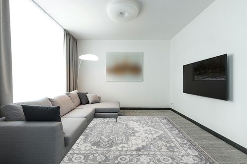 8x10 Area Rugs for Living Room Washable Stain Resistant No Crease Non Skid Rubber Backing - Bedroom & Dining Room - Large Floor Vintage Carpet Cushioned Softness Family & Pet Friendly in Modern Living Room with Grey Couch