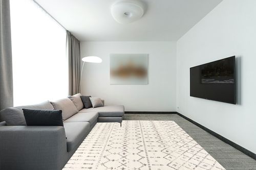 Grey/Off-white Rug Stain Resistant, Pet friendly Kitchen, Bedroom, Living Room, Hallway, Dining Room Area Rug in Modern Living Room with Grey Couch